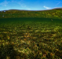 Туры на о. Сулавеси 2025 - цены на путевки в Индонезию из Москвы от туроператора Coral Travel