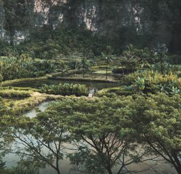 Туры на о. Сулавеси 2025 - цены на путевки в Индонезию из Москвы от туроператора Coral Travel