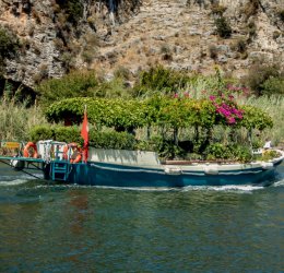 Туры в Далянь 2025 - цены на путевки в Китай из Москвы от туроператора Coral Travel