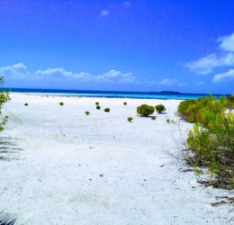 Туры в Варадеро 2025 - цены на путевки на Кубу из Москвы от туроператора Coral Travel