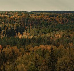 Туры в Сигулду 2025 - цены на путевки в Латвию из Москвы от туроператора Coral Travel