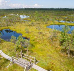 Туры в Юрмалу 2025 - цены на путевки в Латвию из Москвы от туроператора Coral Travel