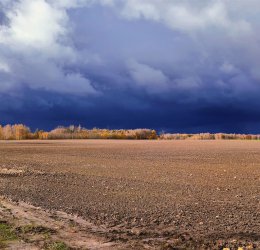 Туры в Мариямполе 2025 - цены на путевки в Литву из Москвы от туроператора Coral Travel
