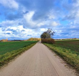 Туры в Мариямполе 2025 - цены на путевки в Литву из Москвы от туроператора Coral Travel