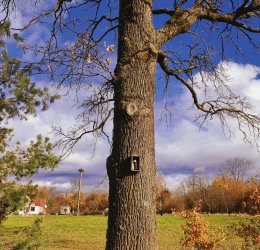 Туры в Мариямполе 2025 - цены на путевки в Литву из Москвы от туроператора Coral Travel