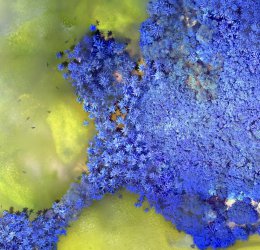 Туры на Лааму Атолл 2025 - цены на путевки на Мальдивы из Москвы от туроператора Coral Travel