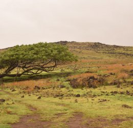 Туры на Исла Мухерес (о.Женщин) 2025 - цены на путевки в Мексику из Москвы от туроператора Coral Travel