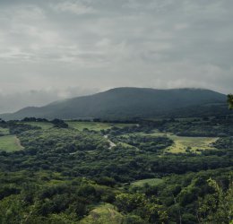 Туры в Морелос 2025 - цены на путевки в Мексику из Москвы от туроператора Coral Travel