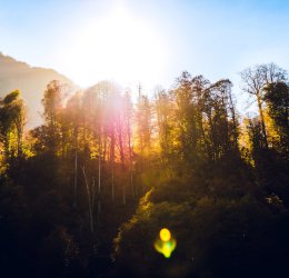 Туры в Адлер 2025 - цены на путевки в Россию из Москвы от туроператора Coral Travel