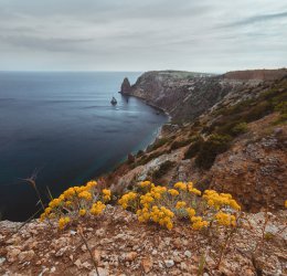 Туры в Саки 2025 - цены на путевки в Россию из Москвы от туроператора Coral Travel