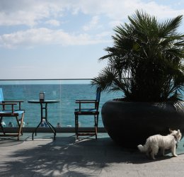 Туры в Ялту 2025 - цены на путевки в Россию из Москвы от туроператора Coral Travel