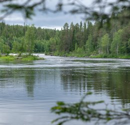 Туры в Карелию 2025 - цены на путевки в Россию из Москвы от туроператора Coral Travel