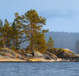 Туры в Карелию 2025 - цены на путевки в Россию из Москвы от туроператора Coral Travel