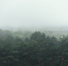 Туры в Кисловодск 2025 - цены на путевки в Россию из Москвы от туроператора Coral Travel