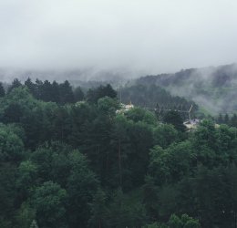 Туры в Кисловодск 2025 - цены на путевки в Россию из Москвы от туроператора Coral Travel