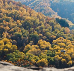 Туры в Кисловодск 2025 - цены на путевки в Россию из Москвы от туроператора Coral Travel