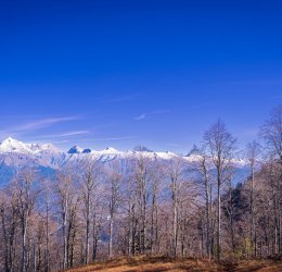 Туры в Красную Поляну 2025 - цены на путевки в Россию из Москвы от туроператора Coral Travel