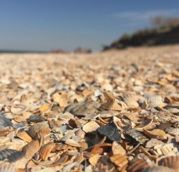 Туры в Краснодарский край 2025 - цены на путевки в Россию из Москвы от туроператора Coral Travel