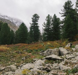 Туры в Краснодарский край 2025 - цены на путевки в Россию из Москвы от туроператора Coral Travel