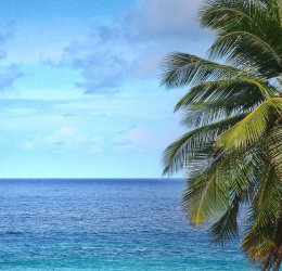 Туры на о. Силуэт 2025 - цены на путевки на Сейшелы из Москвы от туроператора Coral Travel