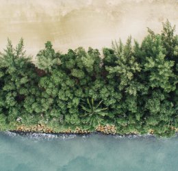 Туры на о. Сентоза 2025 - цены на путевки в Сингапур из Москвы от туроператора Coral Travel