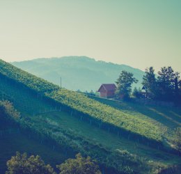 Туры в Моравске Топлице 2025 - цены на путевки в Словению из Москвы от туроператора Coral Travel