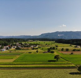 Туры в Струньян 2025 - цены на путевки в Словению из Москвы от туроператора Coral Travel