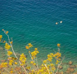 Туры в Порторож 2025 - цены на путевки в Словению из Москвы от туроператора Coral Travel