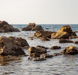 Туры в Порторож 2025 - цены на путевки в Словению из Москвы от туроператора Coral Travel