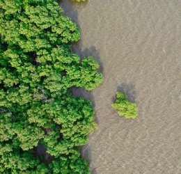 Туры на о. Чанг 2025 - цены на путевки в Таиланд из Москвы от туроператора Coral Travel