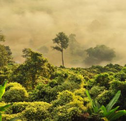 Туры  2025 - цены на путевки в Таиланд из Москвы от туроператора Coral Travel