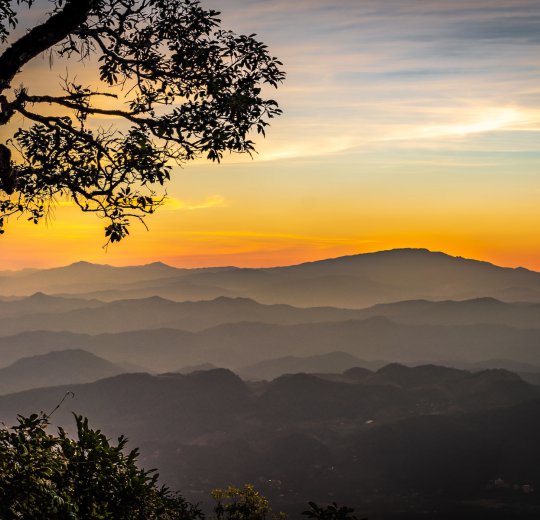 Туры в Чианг Раи 2025 - цены на путевки в Таиланд из Москвы от туроператора Coral Travel