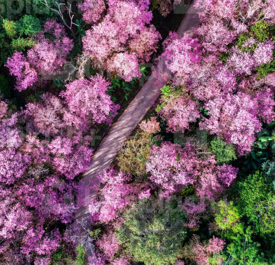 Туры в Чианг Раи 2025 - цены на путевки в Таиланд из Москвы от туроператора Coral Travel