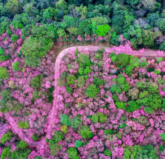 Туры в Чианг Раи 2025 - цены на путевки в Таиланд из Москвы от туроператора Coral Travel