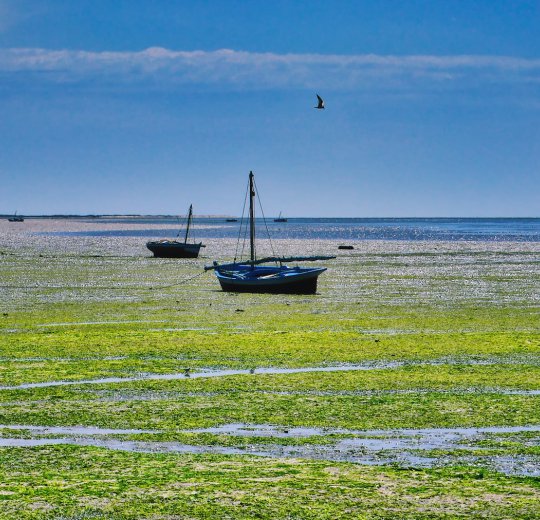 Туры в Седрию Бич 2025 - цены на путевки в Тунис из Москвы от туроператора Coral Travel