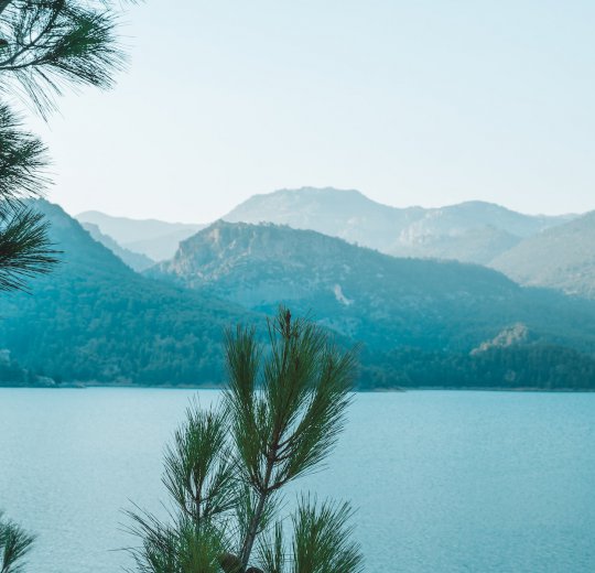 Туры в Манавгат 2025 - цены на путевки в Турцию из Москвы от туроператора Coral Travel