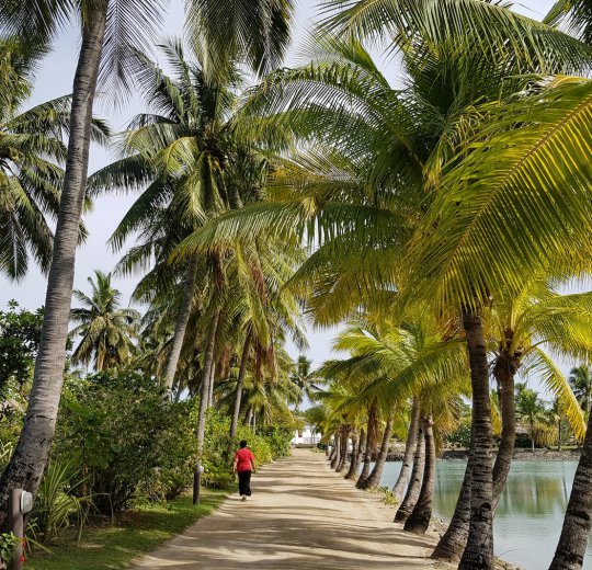 Туры на о. Вити-Леву. Область Нади 2025 - цены на путевки на Фиджи из Москвы от туроператора Coral Travel