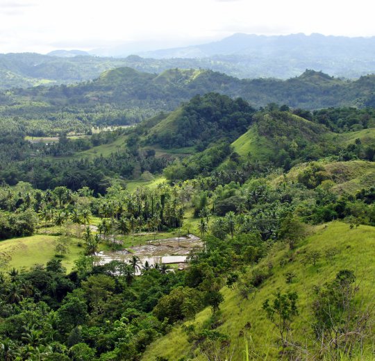 Туры на о. Бохоль 2025 - цены на путевки на Филиппины из Москвы от туроператора Coral Travel