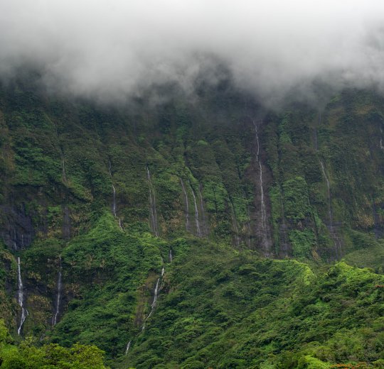 Туры на Таити 2025 - цены на путевки во Французскую полинезию из Москвы от туроператора Coral Travel