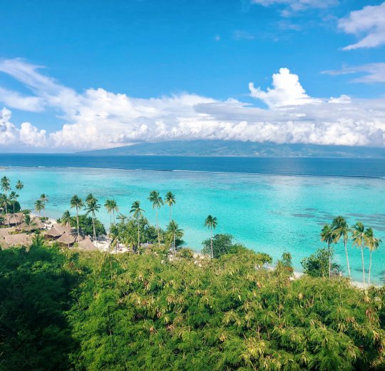 Туры на Муреа 2025 - цены на путевки во Французскую полинезию из Москвы от туроператора Coral Travel