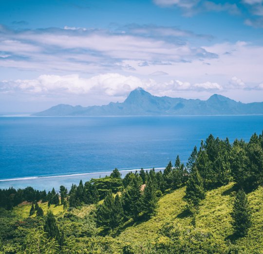 Туры на Муреа 2025 - цены на путевки во Французскую полинезию из Москвы от туроператора Coral Travel