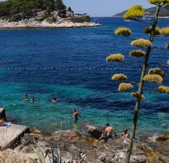 Туры в Пореч 2025 - цены на путевки в Хорватию из Москвы от туроператора Coral Travel