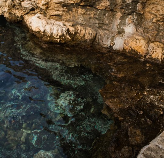 Туры в Ровинь 2025 - цены на путевки в Хорватию из Москвы от туроператора Coral Travel