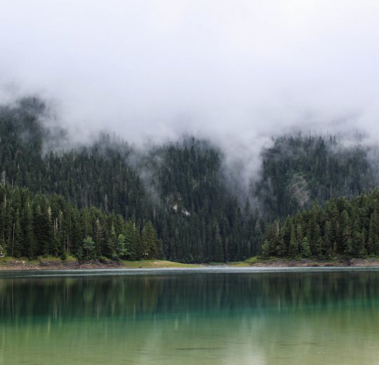 Туры в Жабляк 2025 - цены на путевки в Черногорию из Москвы от туроператора Coral Travel