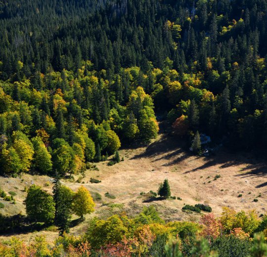 Туры в Жабляк 2025 - цены на путевки в Черногорию из Москвы от туроператора Coral Travel