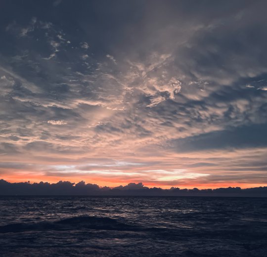 Туры в Негомбо 2025 - цены на путевки в Шри-Ланку из Москвы от туроператора Coral Travel