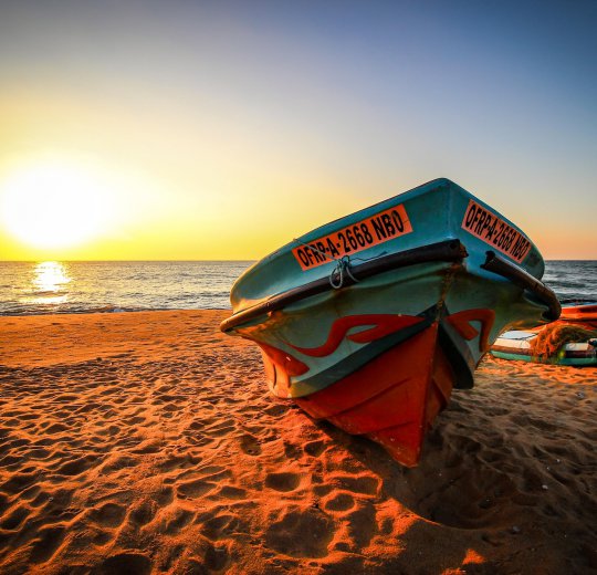 Туры в Негомбо 2025 - цены на путевки в Шри-Ланку из Москвы от туроператора Coral Travel