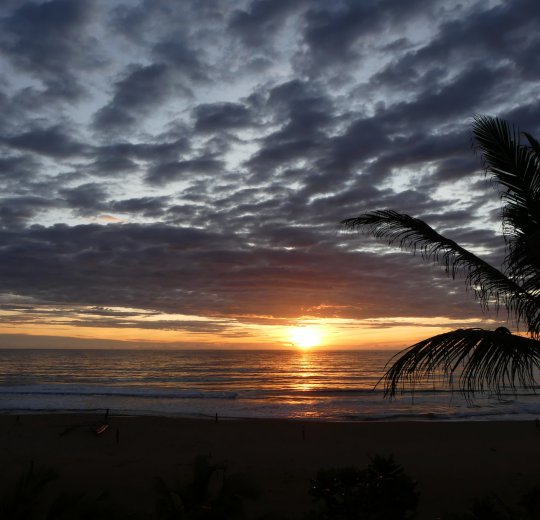 Туры в Негомбо 2025 - цены на путевки в Шри-Ланку из Москвы от туроператора Coral Travel