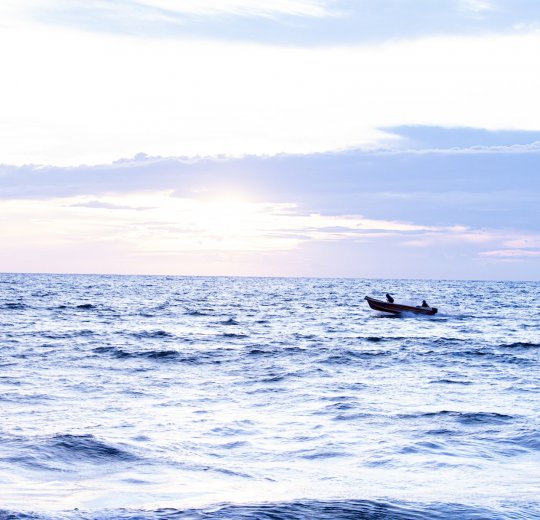 Туры в Негомбо 2025 - цены на путевки в Шри-Ланку из Москвы от туроператора Coral Travel