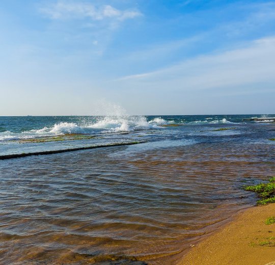 Туры в Негомбо 2025 - цены на путевки в Шри-Ланку из Москвы от туроператора Coral Travel
